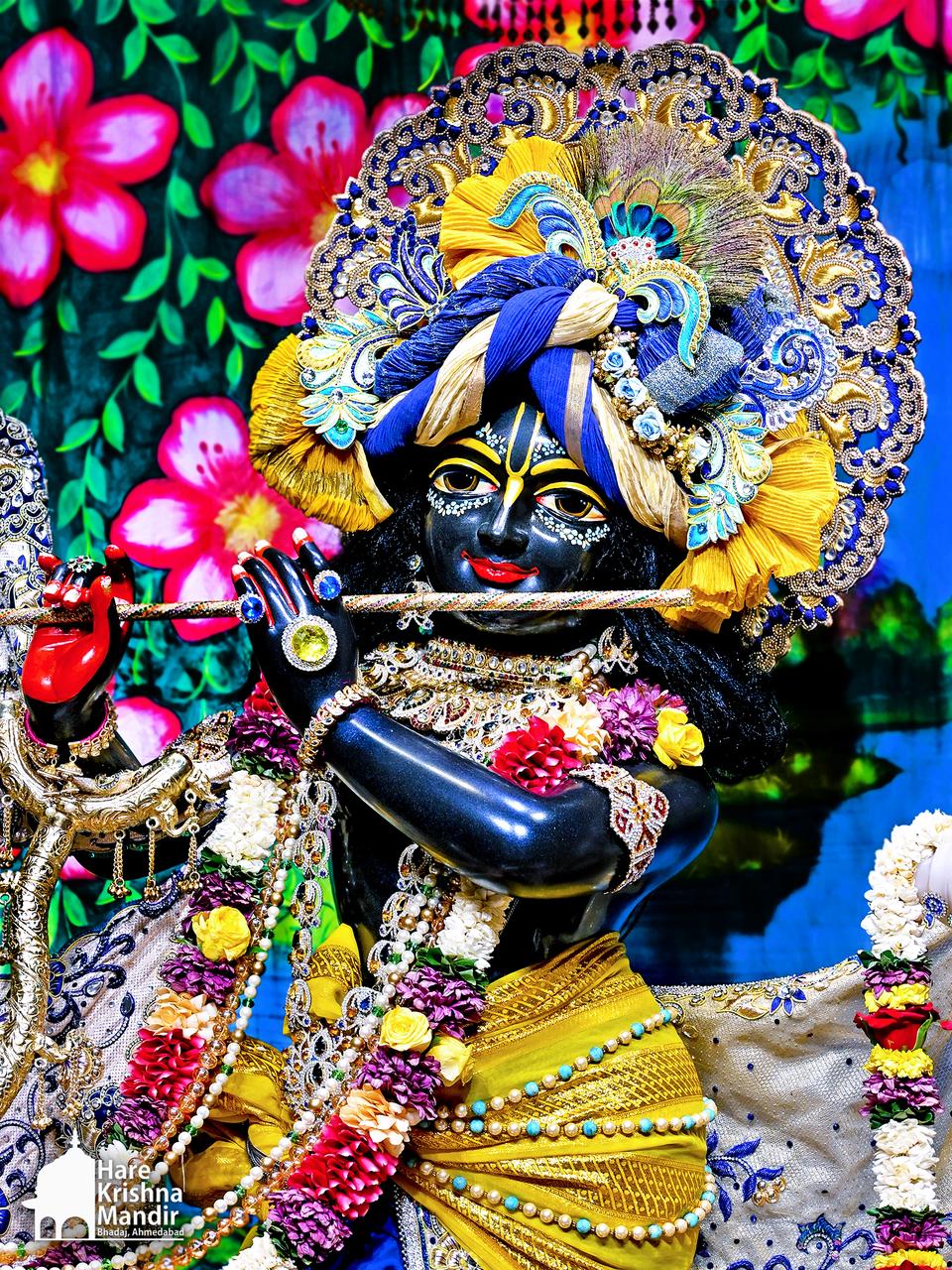 2026-06-16 Darshan
